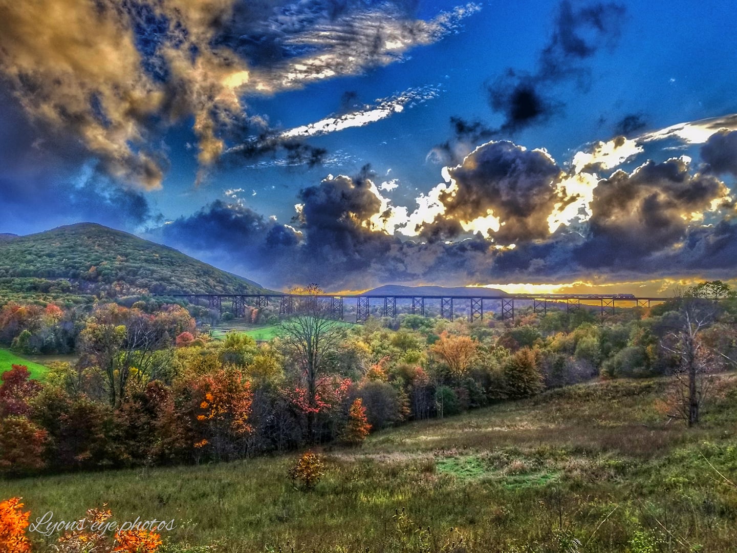 Photographer:  Tom Lyons